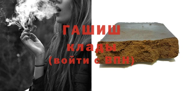 индика Алзамай
