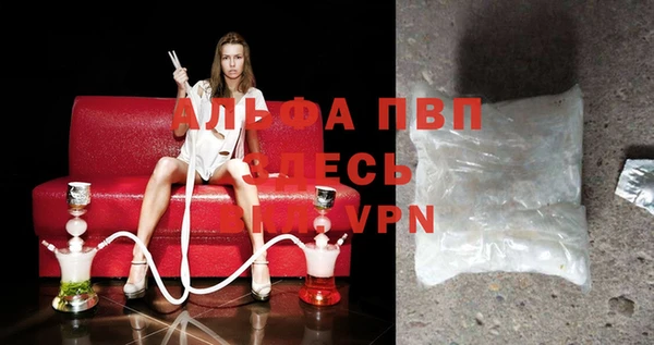 индика Алзамай