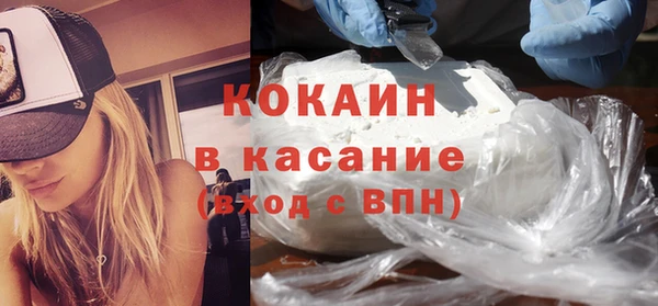индика Алзамай