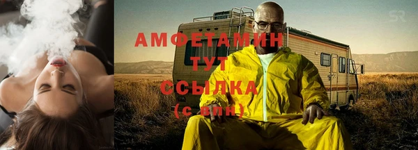 гидра Абаза