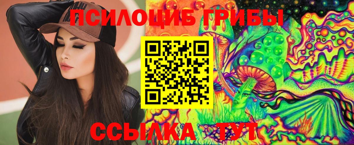 Галлюциногенные грибы Magic Shrooms Абакан