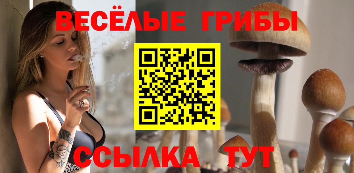Абакан  Галлюциногенные грибы Psilocybe  Вход с VPN 